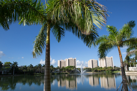 Palm tree and Lake Osceola at the Coral Gables Campus